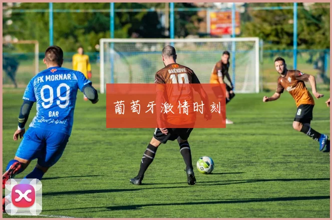 葡萄牙激情时刻