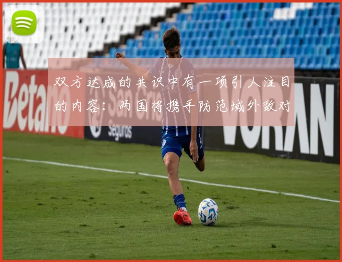 双方达成的共识中有一项引人注目的内容：两国将携手防范域外敌对势力破坏国家安全的行为
