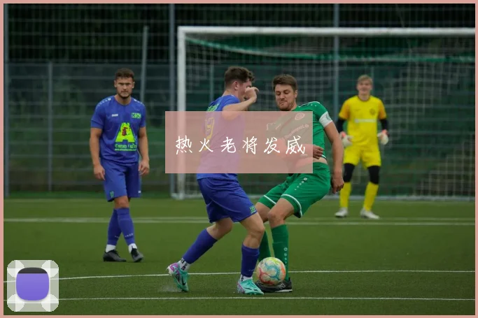 热火老将发威