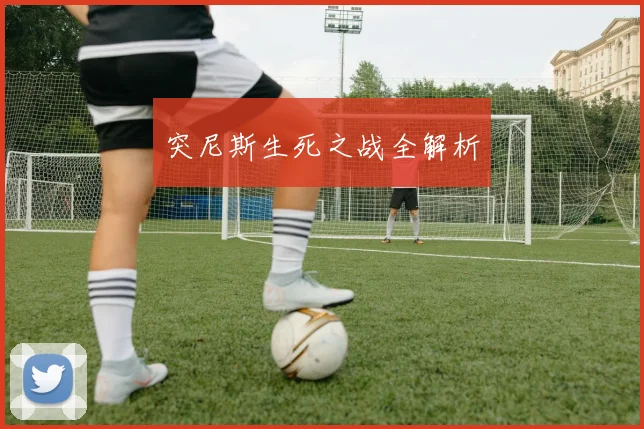 突尼斯生死之战全解析