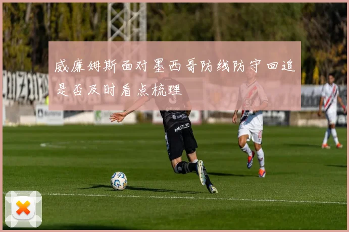 威廉姆斯面对墨西哥防线防守回追是否及时看点梳理