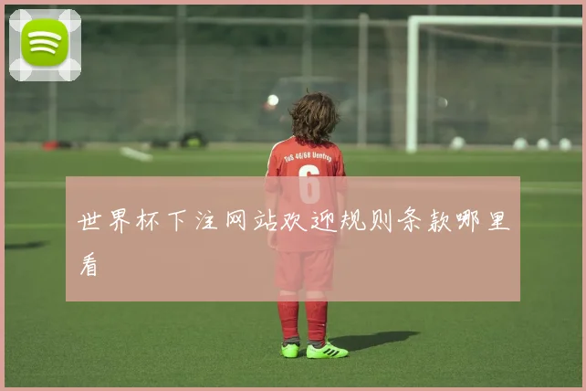 世界杯下注网站欢迎规则条款哪里看