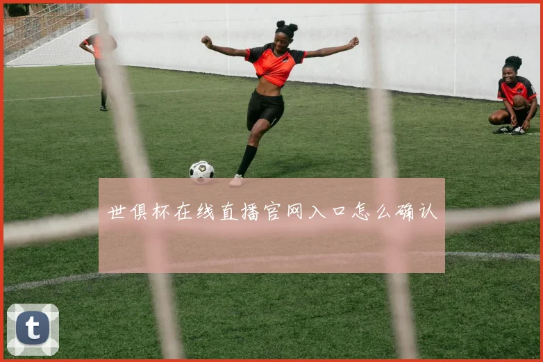 世俱杯在线直播官网入口怎么确认